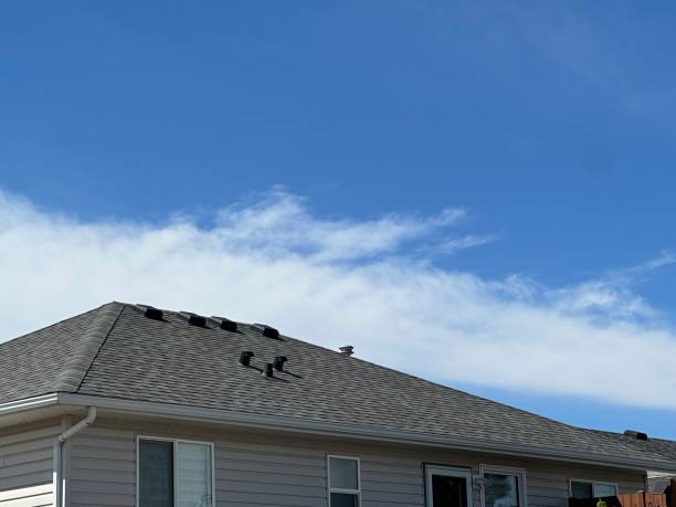 Asphalt Shingles Roofing in Schnecksville, PA